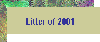 Litter of 2001