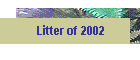Litter of 2002