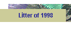 Litter of 1998