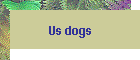 Us dogs
